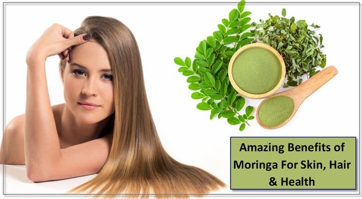 Moringa oil moisturises 